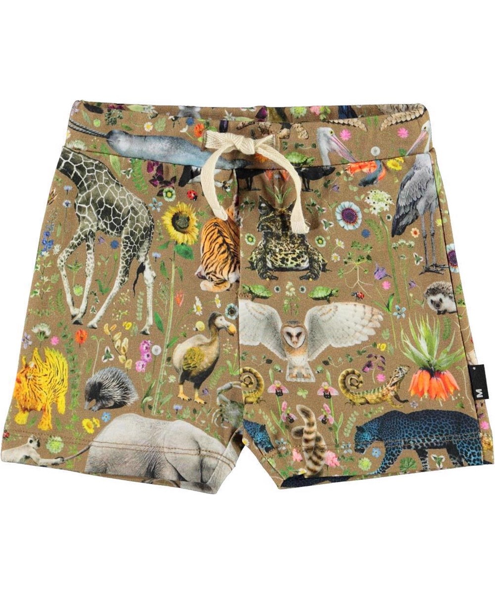 Simroy - Faunatastically - Organic shorts with plants and animals