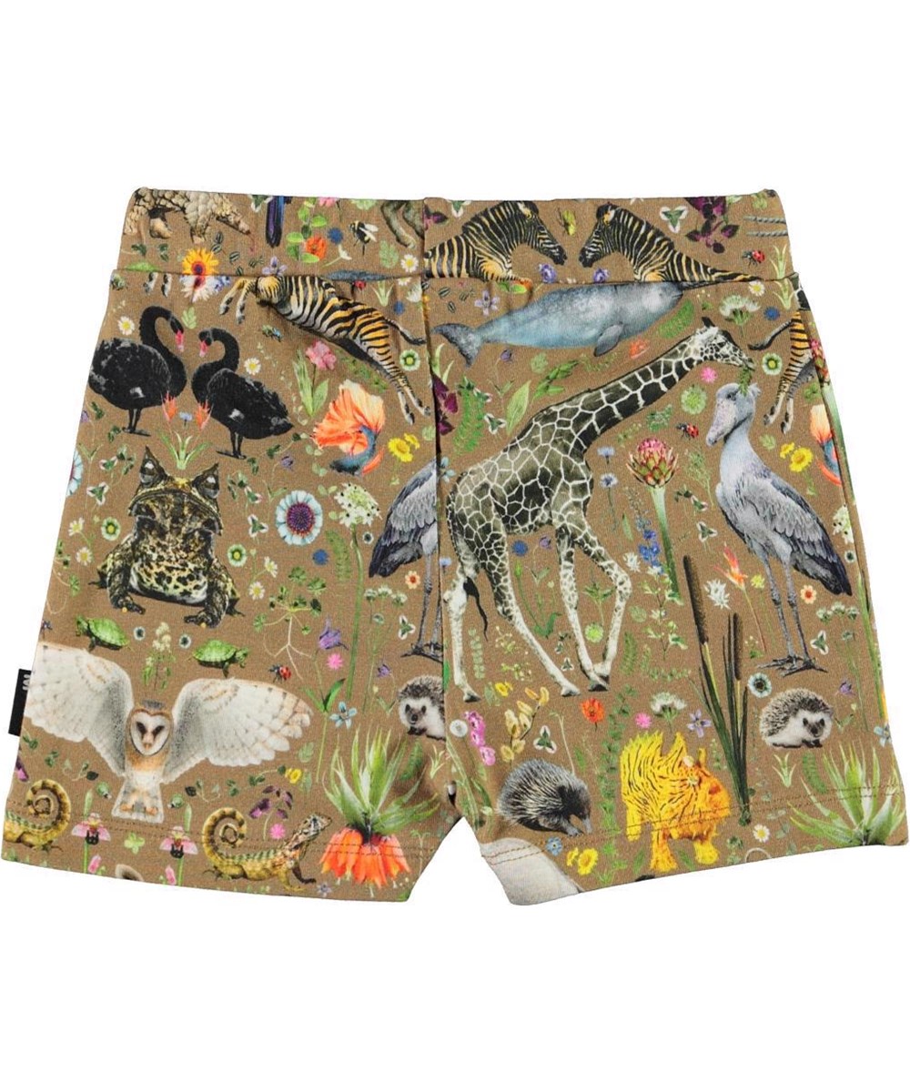 Simroy - Faunatastically - Organic shorts with plants and animals
