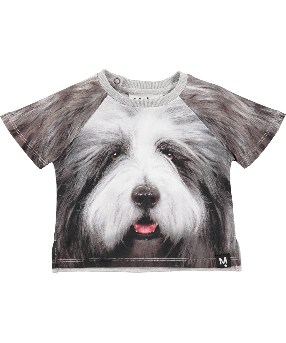 Even - Hairy Dog - Short sleeve grey baby t-shirt with dog print