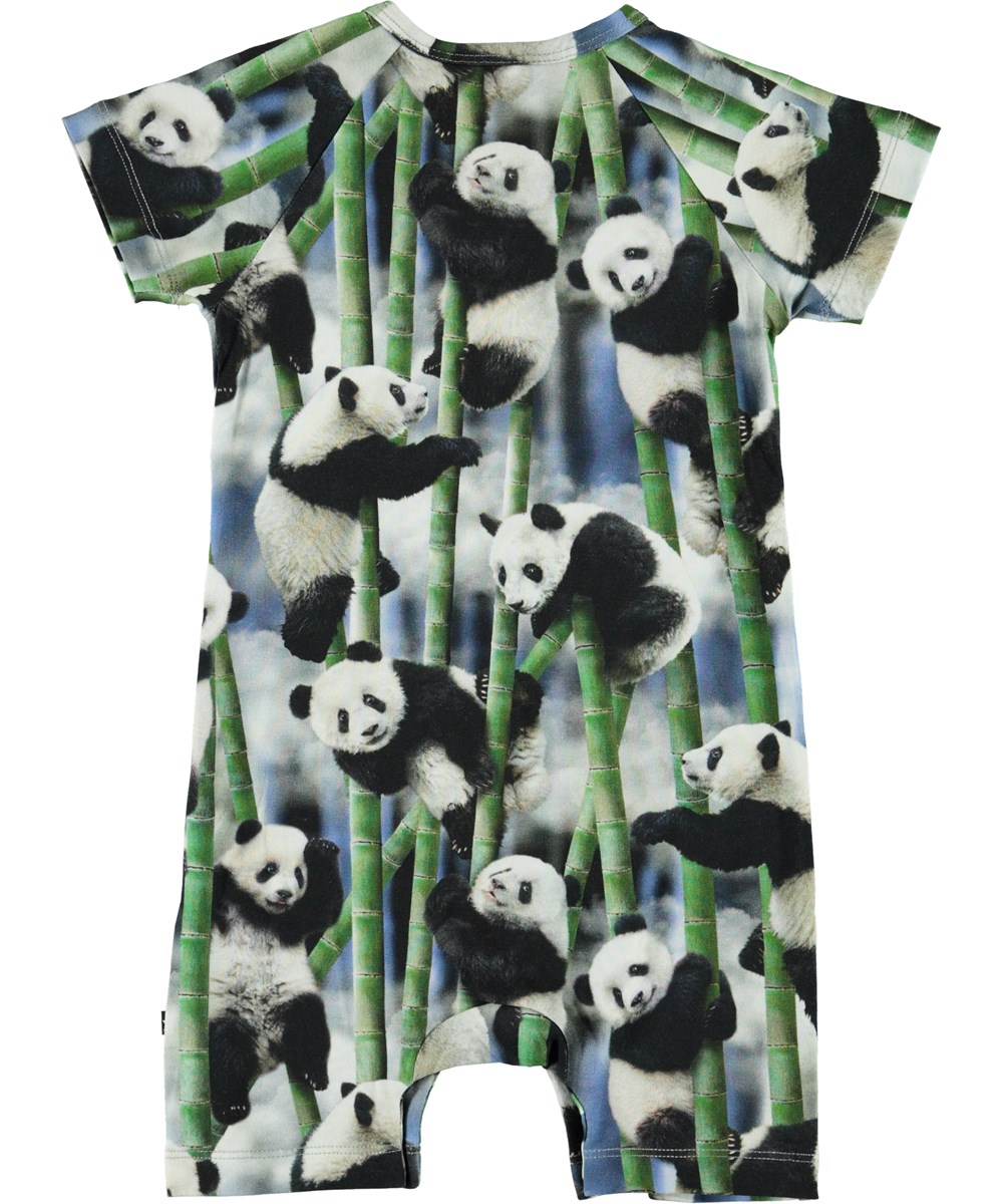 Felton - Panda - Økologisk baby body med pandaer