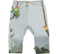 Sabb Pants