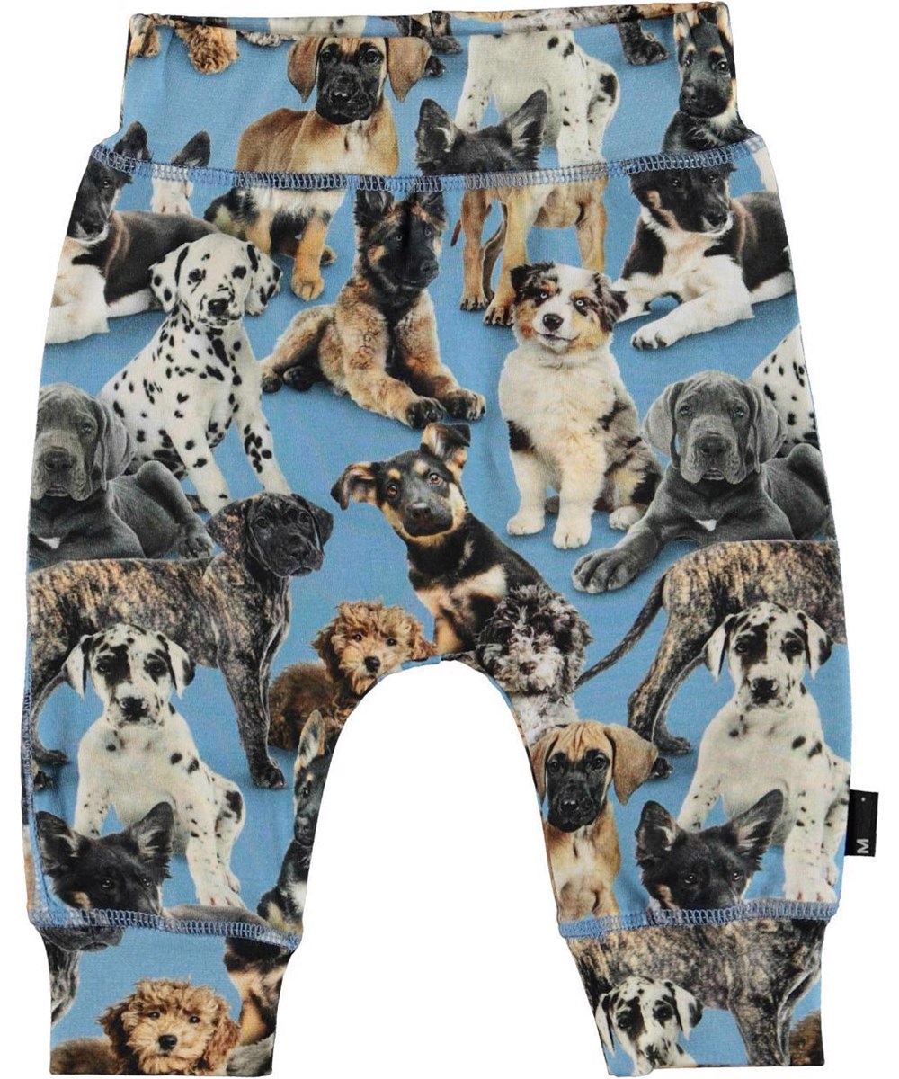 Sammy - Pups - Bløde babybukser økologisk hundehvalpe