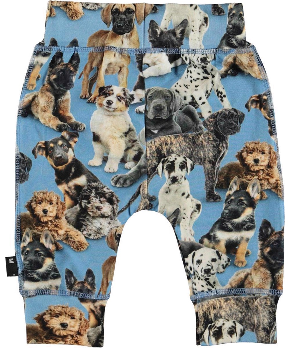 Sammy - Pups - Bløde babybukser økologisk hundehvalpe