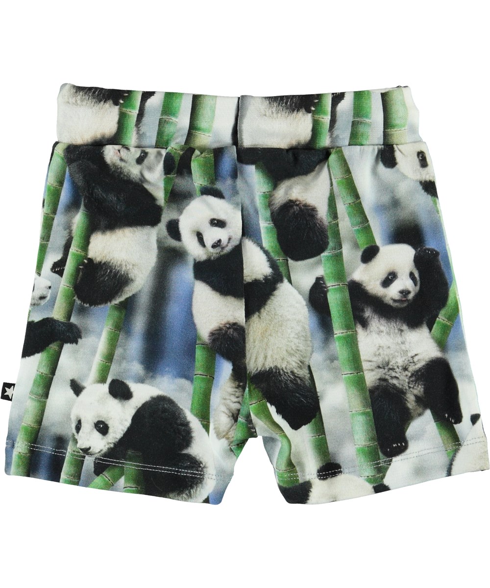 Simroy - Panda - Økologiske baby shorts med pandaer