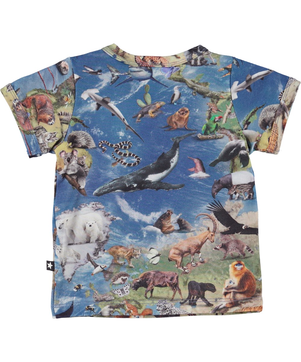 Easy - Animal Earth - Økologisk baby t-shirt i dyreprint