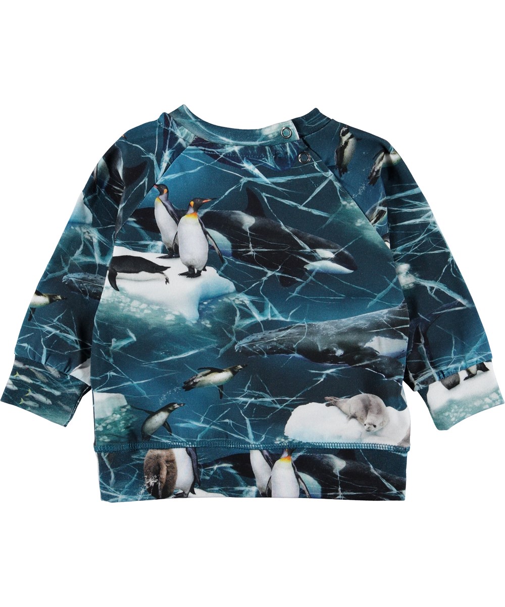 Elmo - Antarctica - Baby bluse med pingviner.