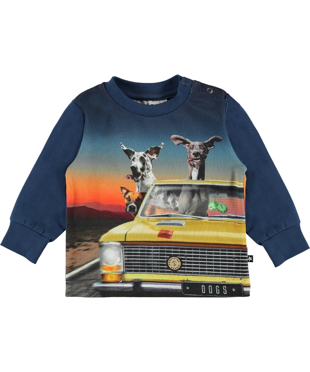 Eloy - Canine Cruise - Økologisk baby sweatshirt med hunde