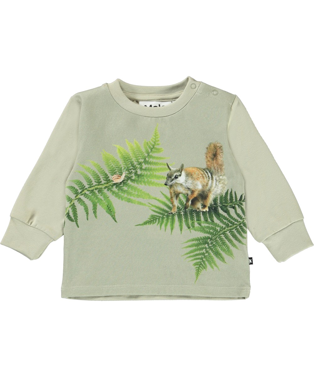 Eloy - Fern Encounter - Økologisk babybluse med egern print
