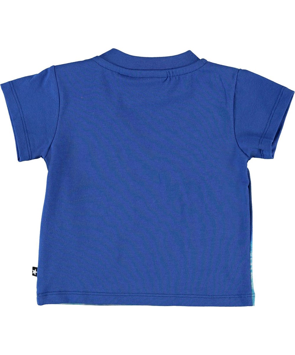 Emilio - Baby Turtles - Økologisk baby t-shirt med skildpadder