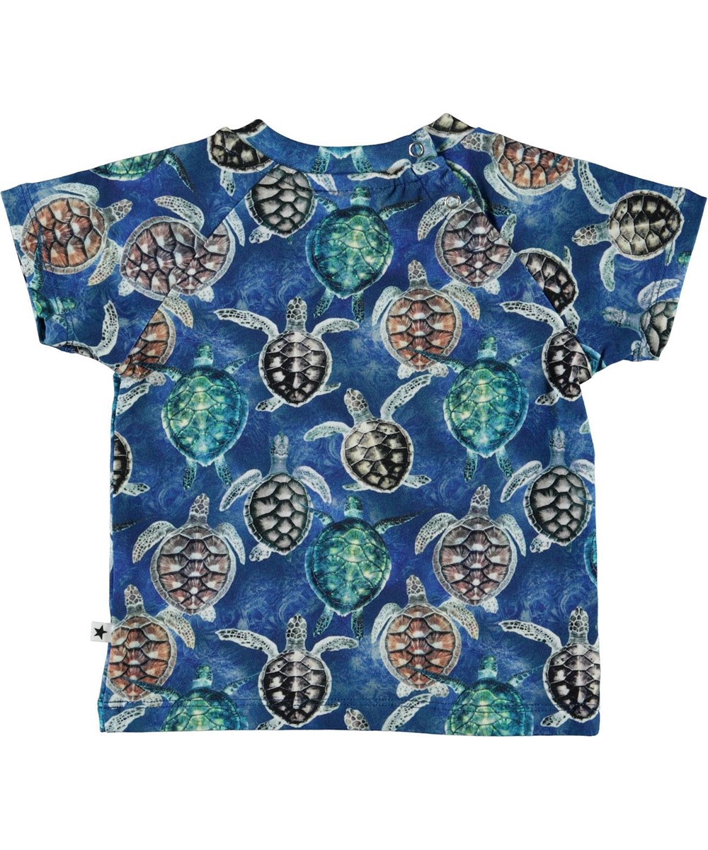 Emmett - Mini Turtles - Blå baby t-shirt med skildpadder