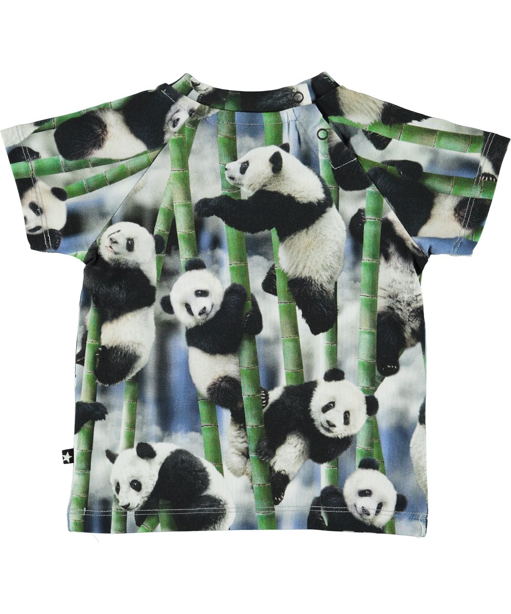Emmett - Panda - Økologisk baby t-shirt med panda