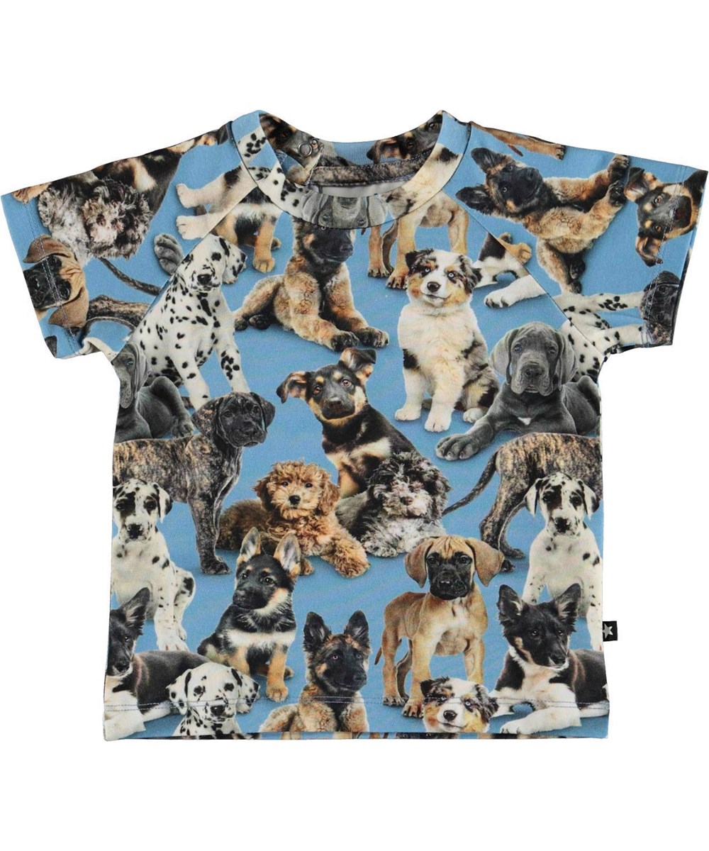 Emmett - Pups - Lyseblå baby t-shirt hundehvalpe økologisk