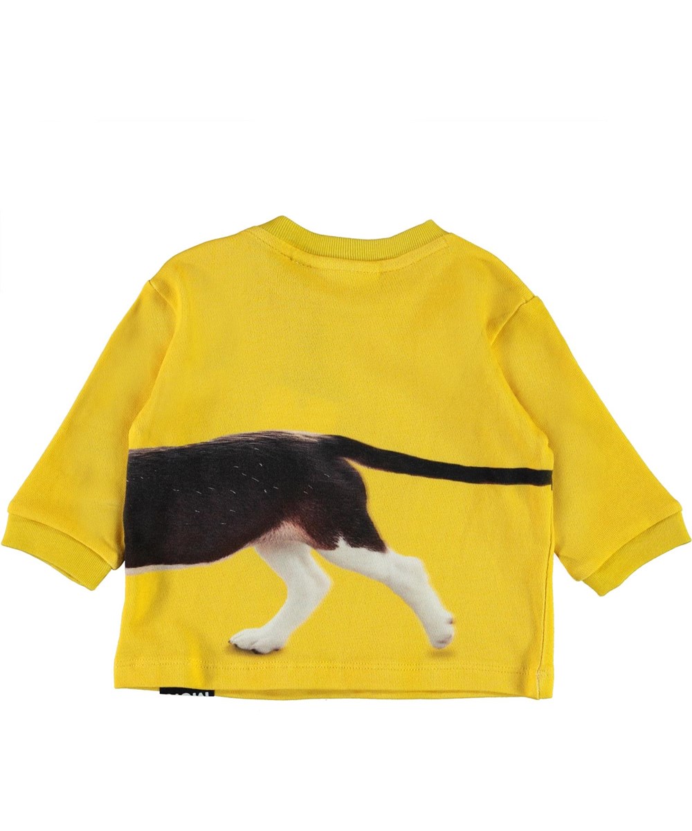 Dan - Chasing Tail - Økologisk gul babybluse med hund