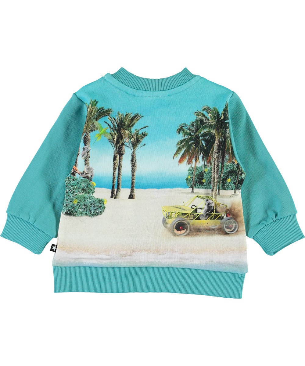 Duff - Venturing Koala - Baby sweatshirt i turkis med stand print