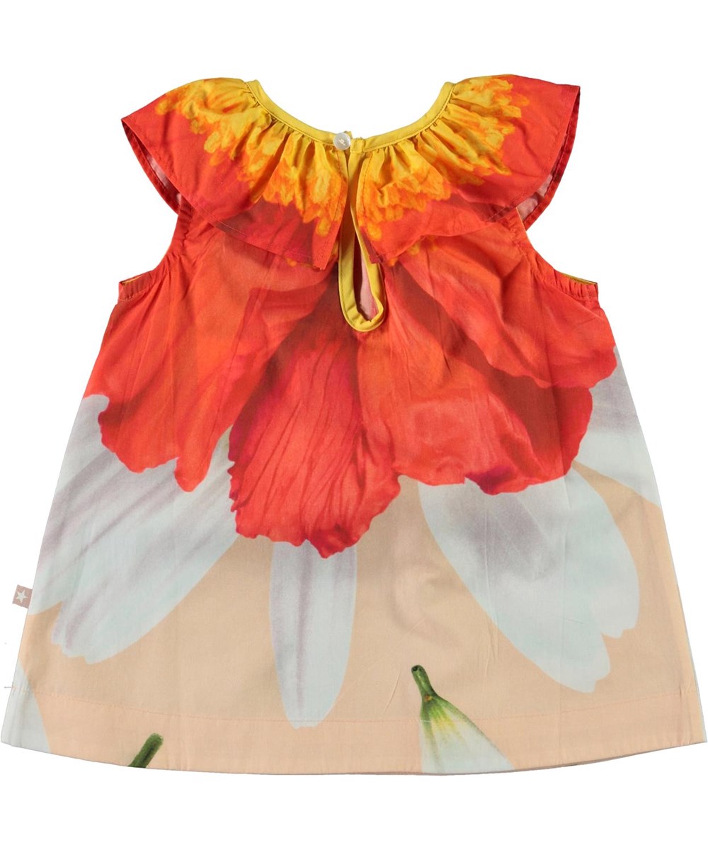 Ciera - Petals - Ekologisk babyklänning med blommor