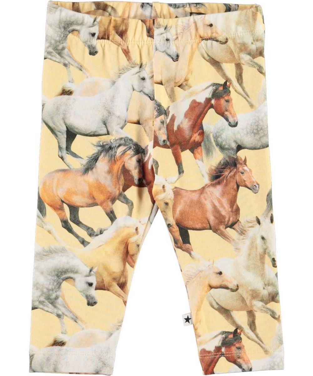 Stefanie - Horse Dreams Baby - Ljusgula ekologiska babyleggings med hästar.