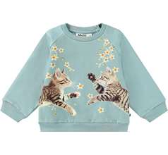 Disc Sweaters