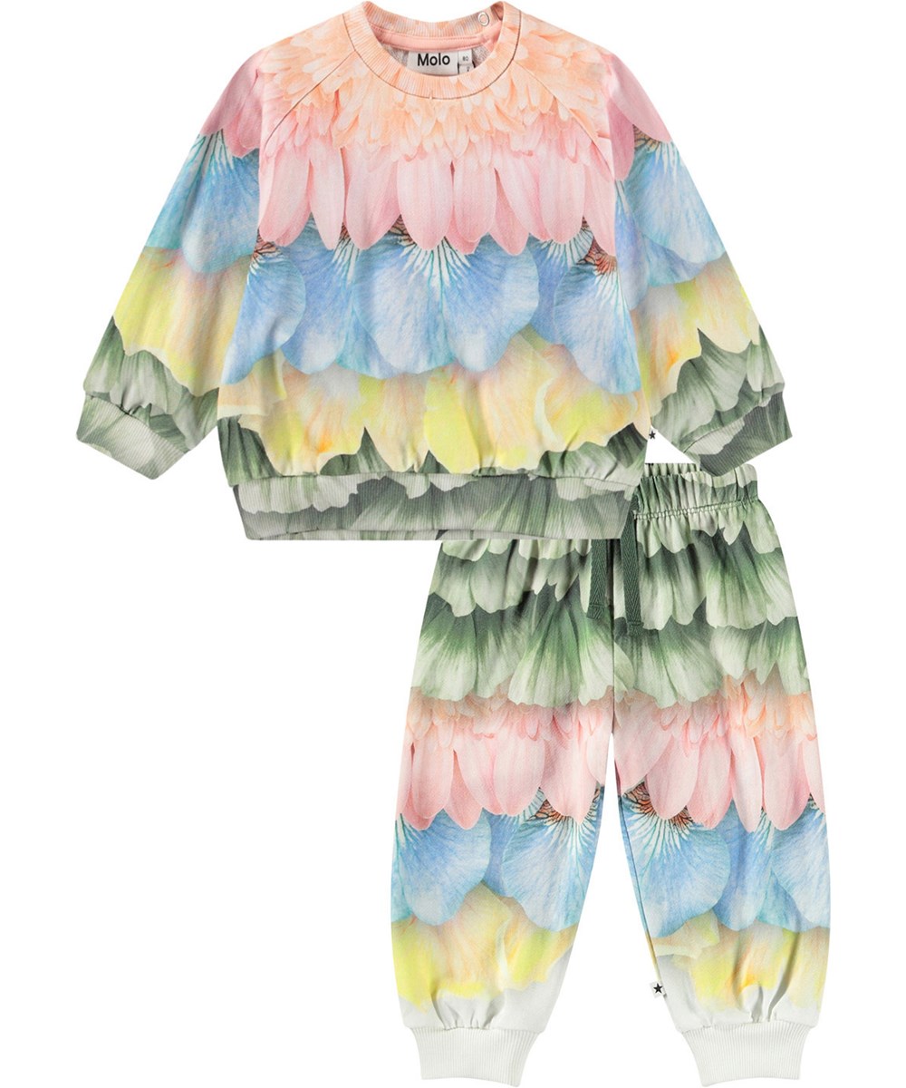 Disc Set - Petal Rainbow -