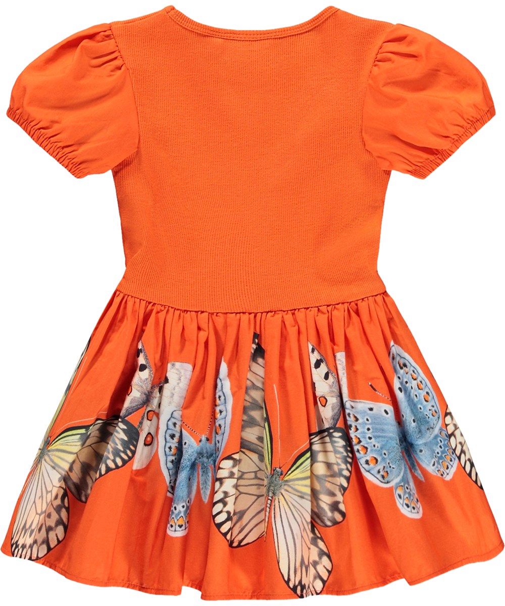 Caitlin - Fluttering - Orange dress for the little ones made of organic cotton with a butterfly print and puff sleeves