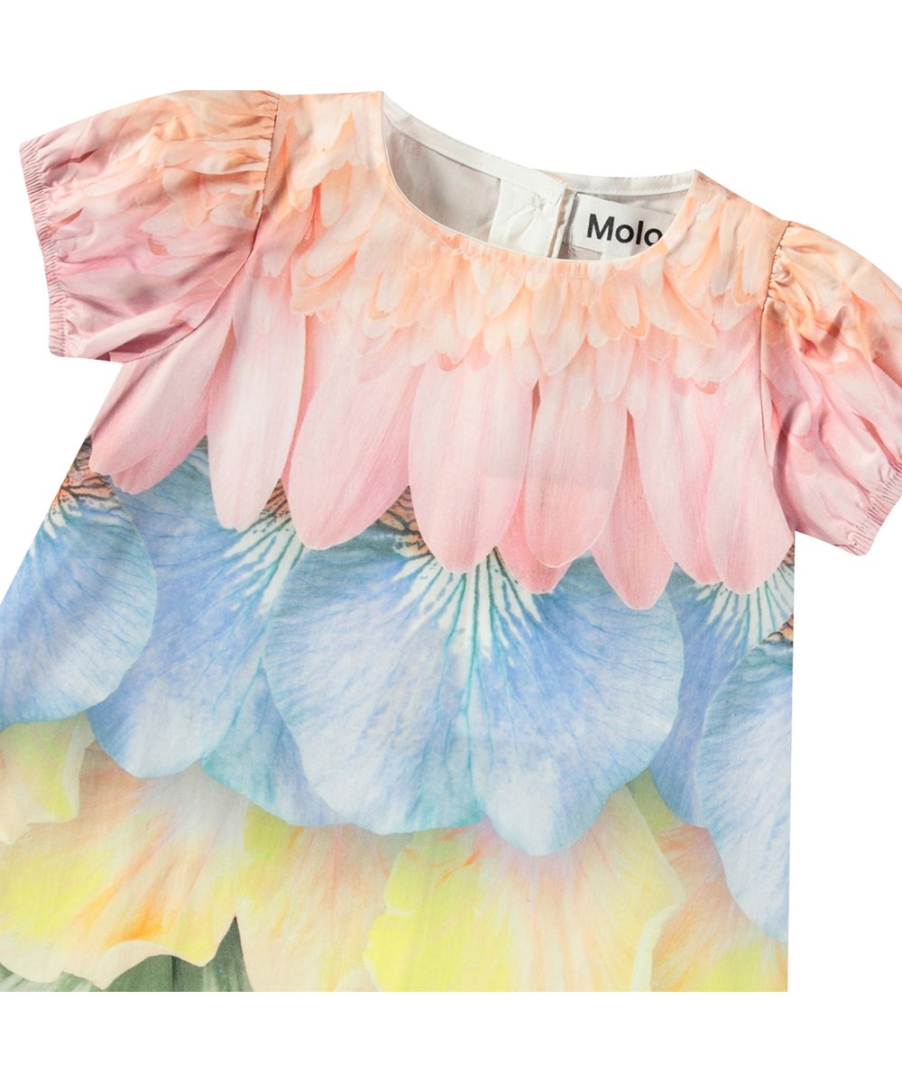Caja - Petal Rainbow - Poplin dress in organic cotton for baby. Spacious fit. The dress is multicoloured with a print of feathers and flower petals.