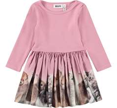 Candi Dresses