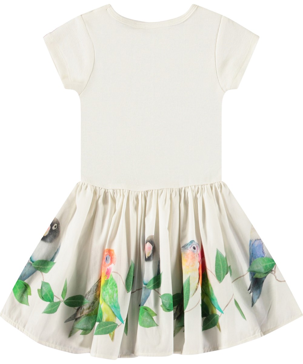 Carin - Birdies - Dress for baby in organic cotton. The dress is white with a print of small parrots.