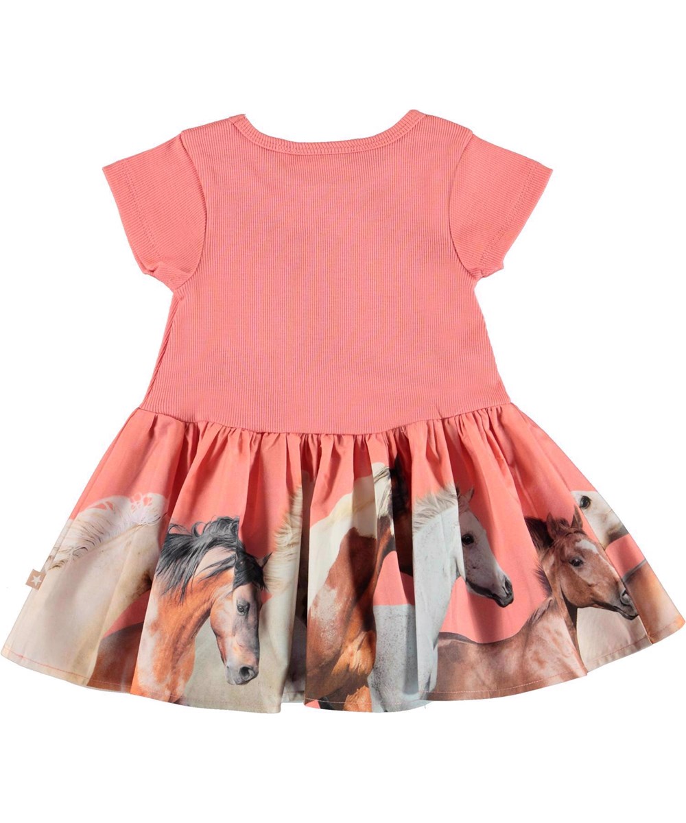 Carin - Horse Border - Coral coloured dress peplum horses