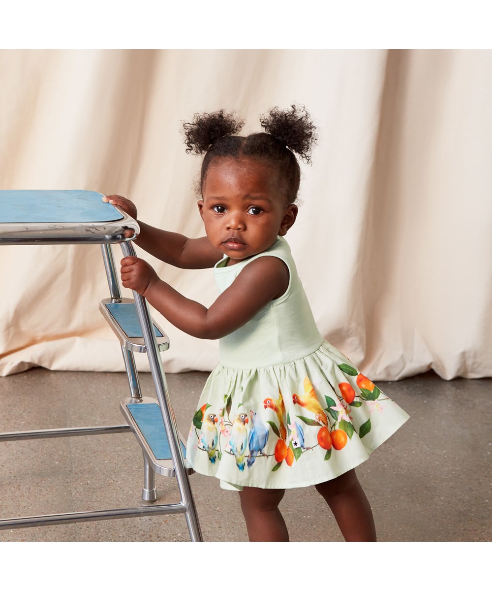 Cordelia - Sweet Parakeet - Green organic baby dress with birds and mandarin print on skirt 