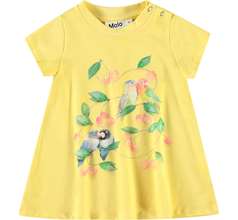 Cosimo Dresses