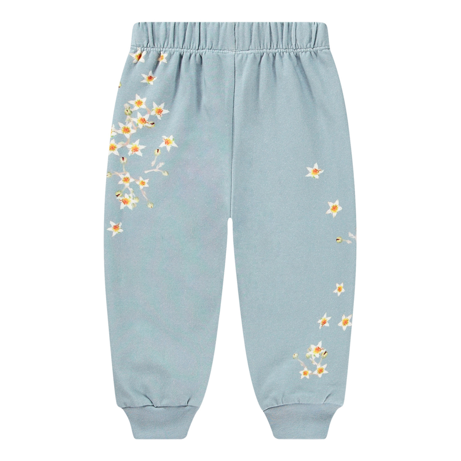 Simeon - Kitten Star Dusty - Light blue organic cotton