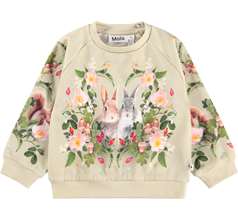 Disc Sweaters