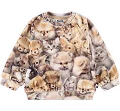 Disc Sweaters