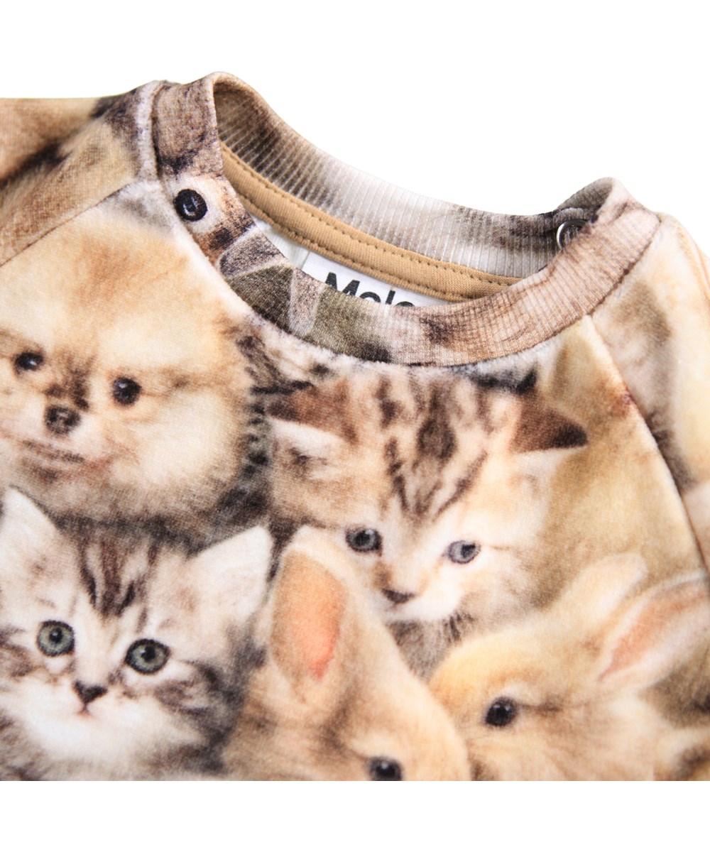 Disc - Fuzzy Fluffy - Soft sweatshirt for the little ones made of velour with a print of animals.