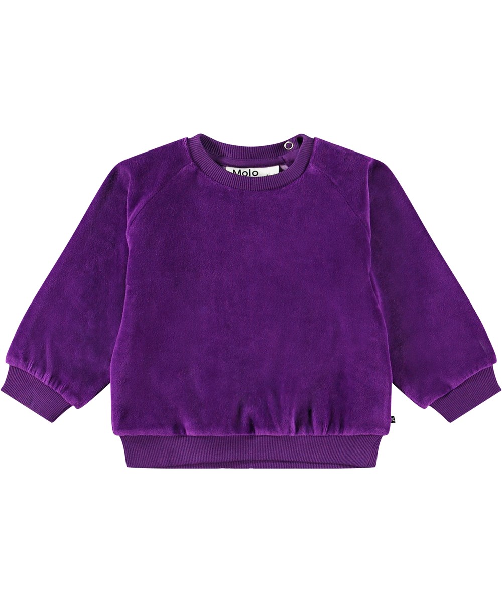 Disc - Warm Purple - Purple velour sweatshirt in organic cotton for kids.