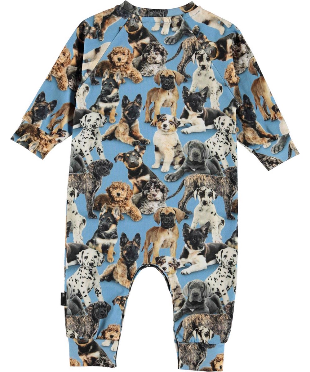 Fairfax - Pups -