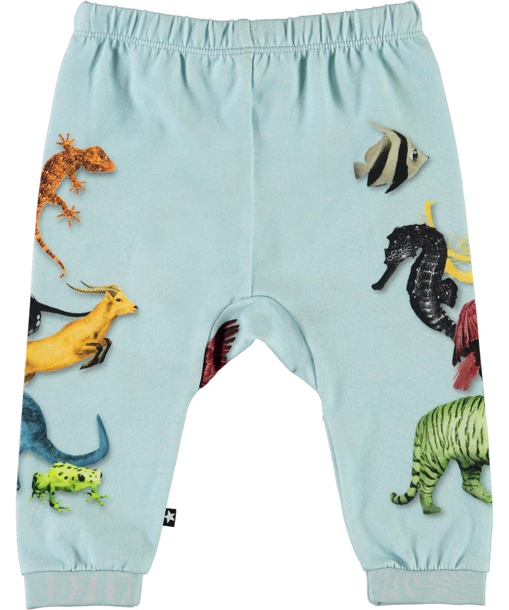 Sabbe - Colour Friends - Lichtblauwe biologische babybroek