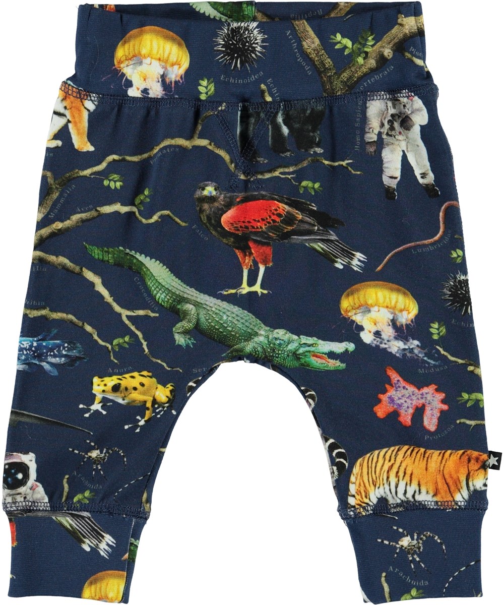 Sammy - Tree Of Life - Biologische broek met dieren
