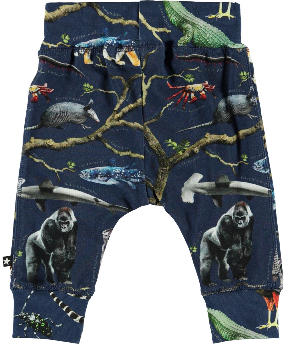 Sammy - Tree Of Life - Biologische broek met dieren