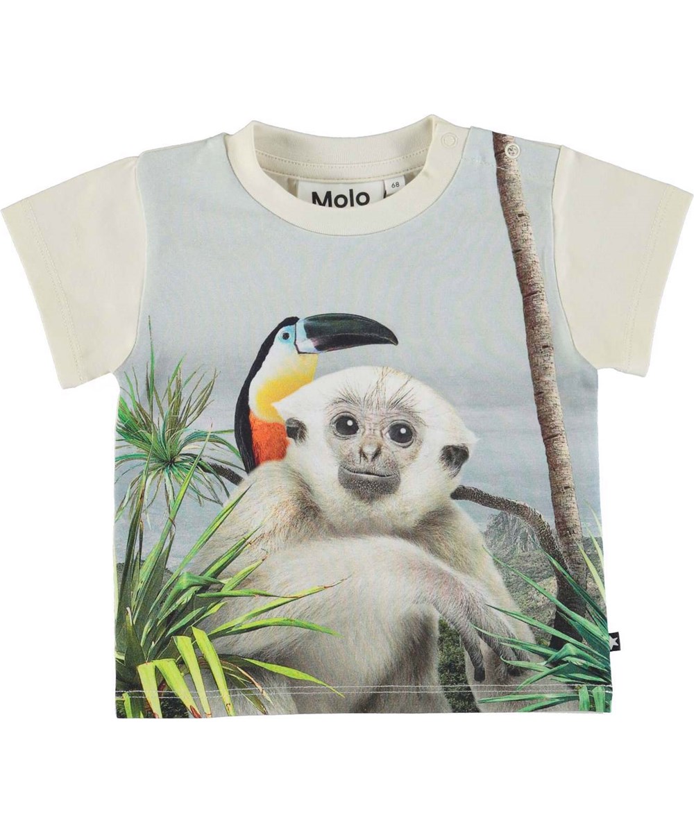 Emilio - Monkey World - 