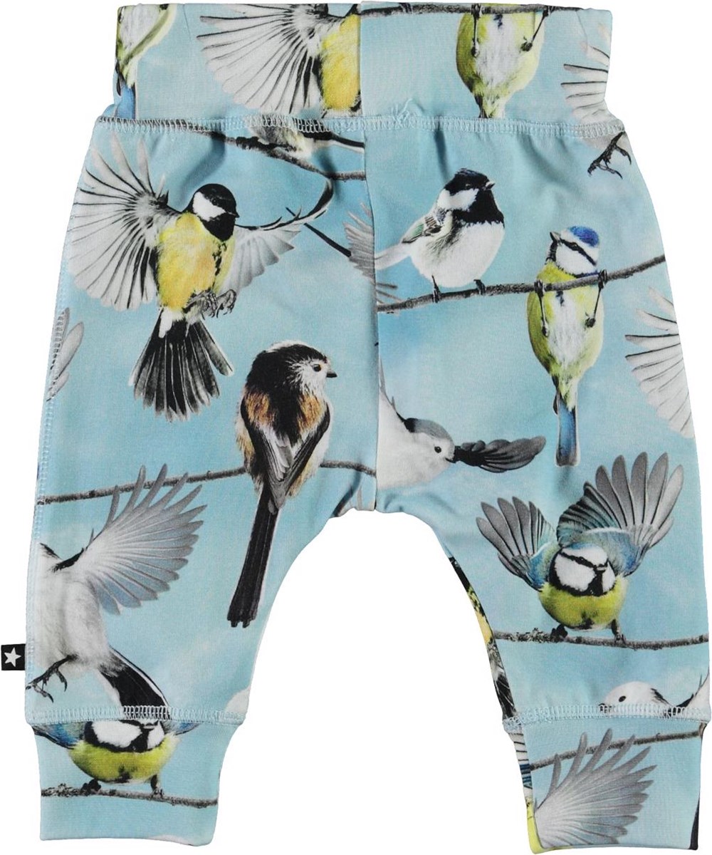 Sammy - Baby Birds - Öko-Babyhose in Hellblau mit Vögeln