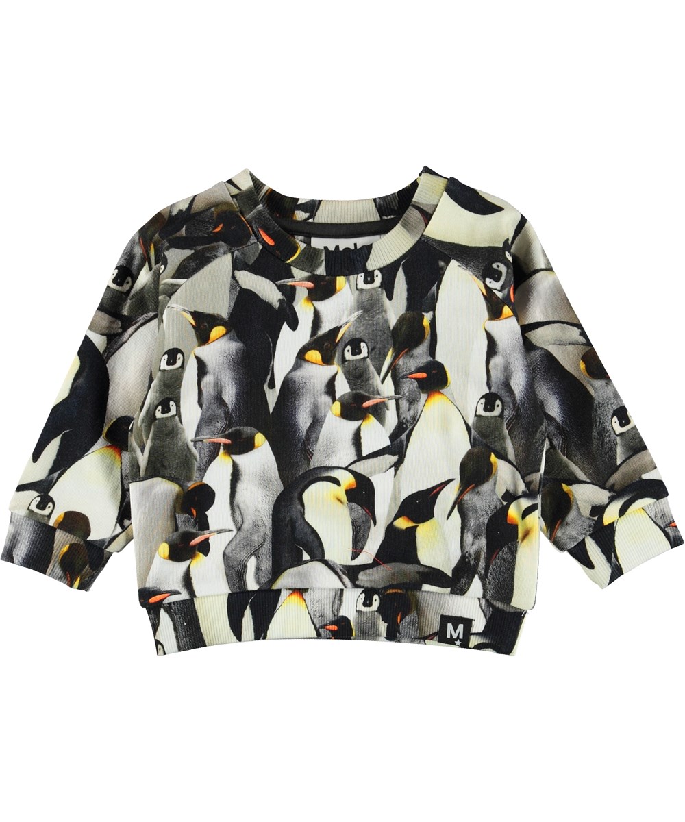 Dag - Penguins Galore - 