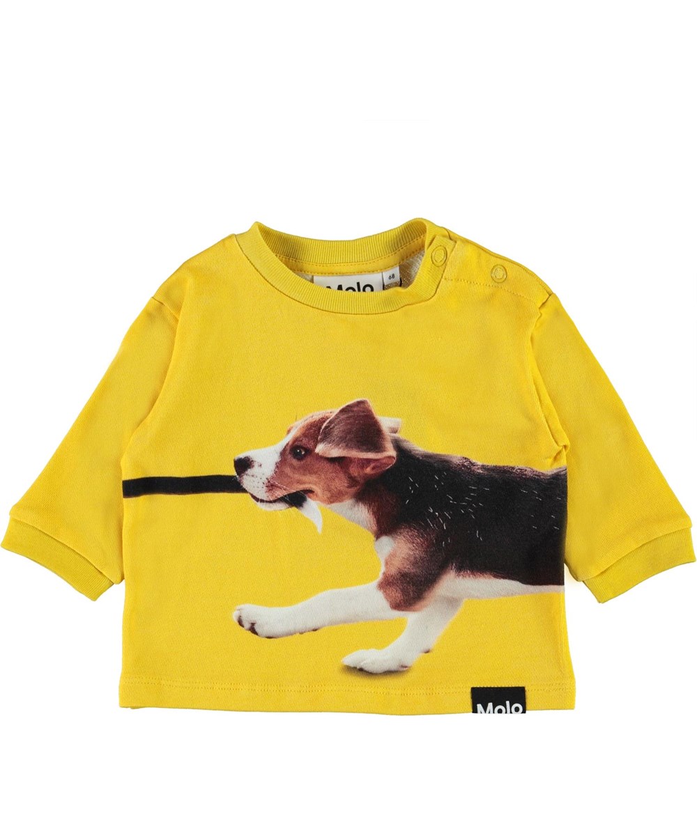 Dan - Chasing Tail - Öko gelber Baby-Pullover mit Hund