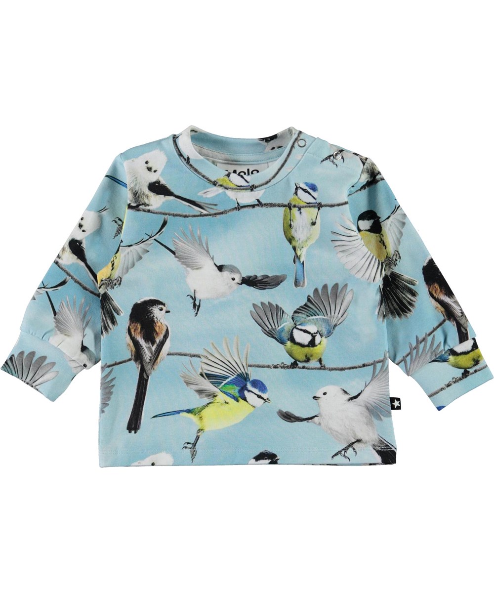 Eloy - Baby Birds - Öko hellblauer Babypullover mit Vögeln