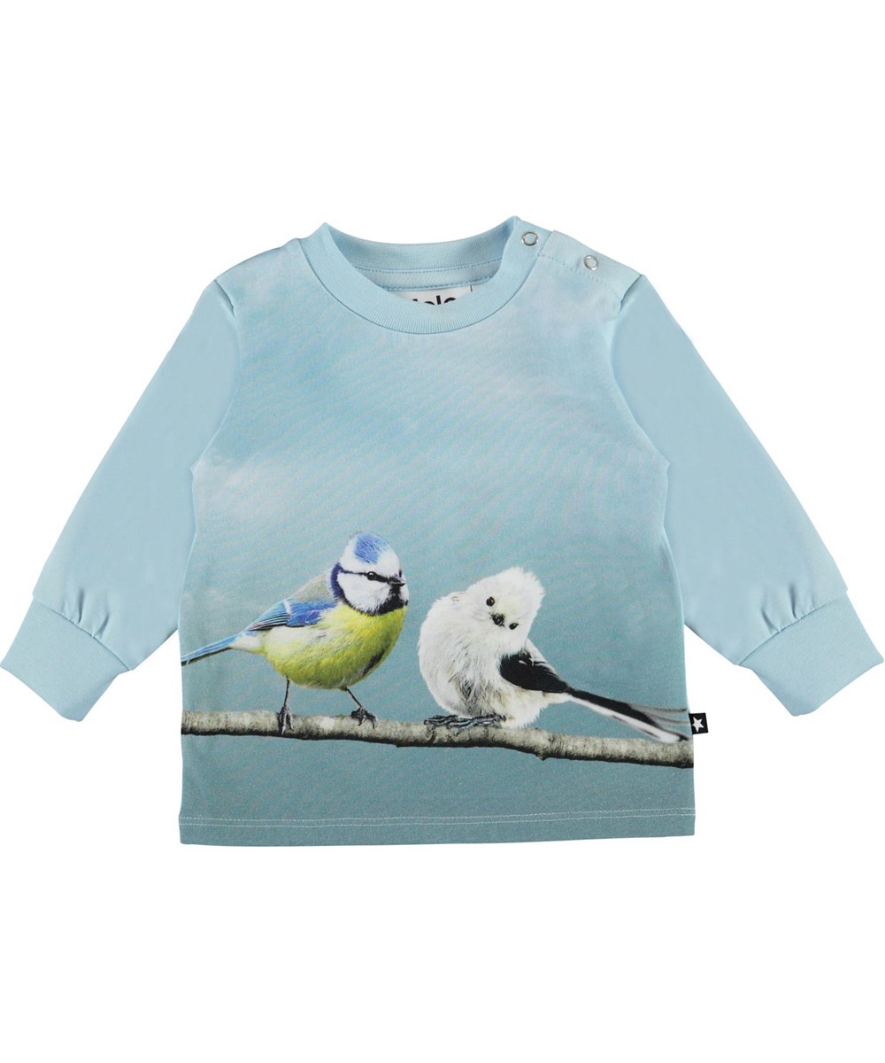 Eloy - Best Friends - Öko hellblauer Babypullover mit Vögeln