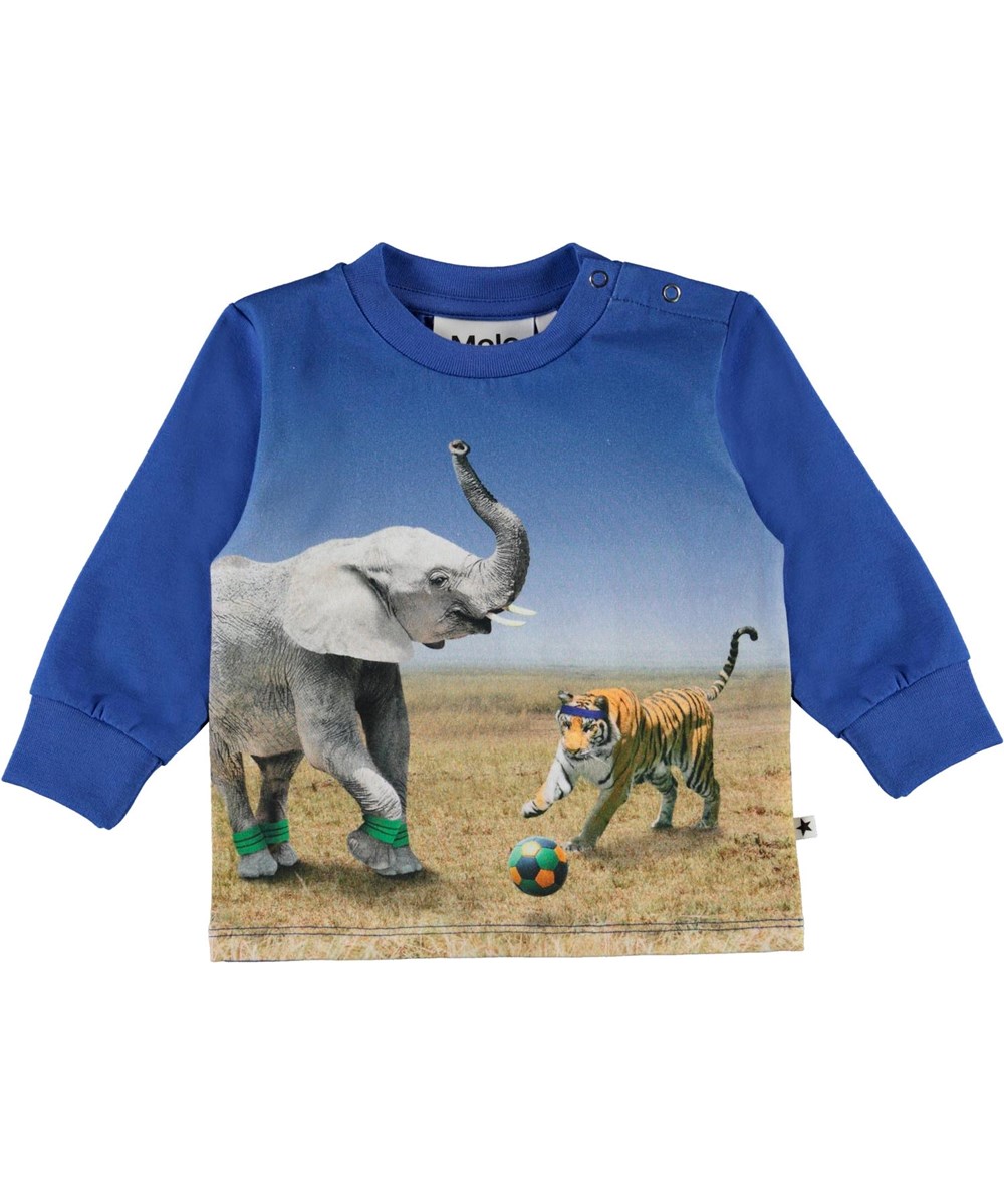 Eloy - Go Tiger! - Blauer Baby-Pullover mit Elefanten und Tigern