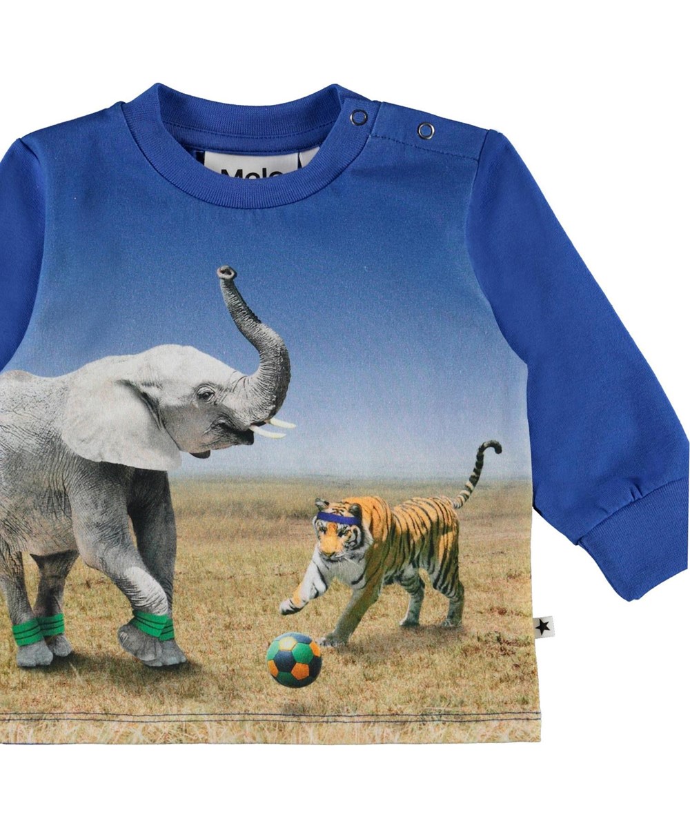 Eloy - Go Tiger! - Blauer Baby-Pullover mit Elefanten und Tigern