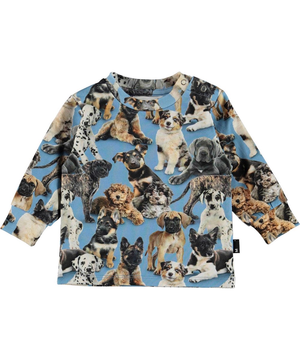 Eloy - Pups - Hellblaue Babybluse Öko Welpen