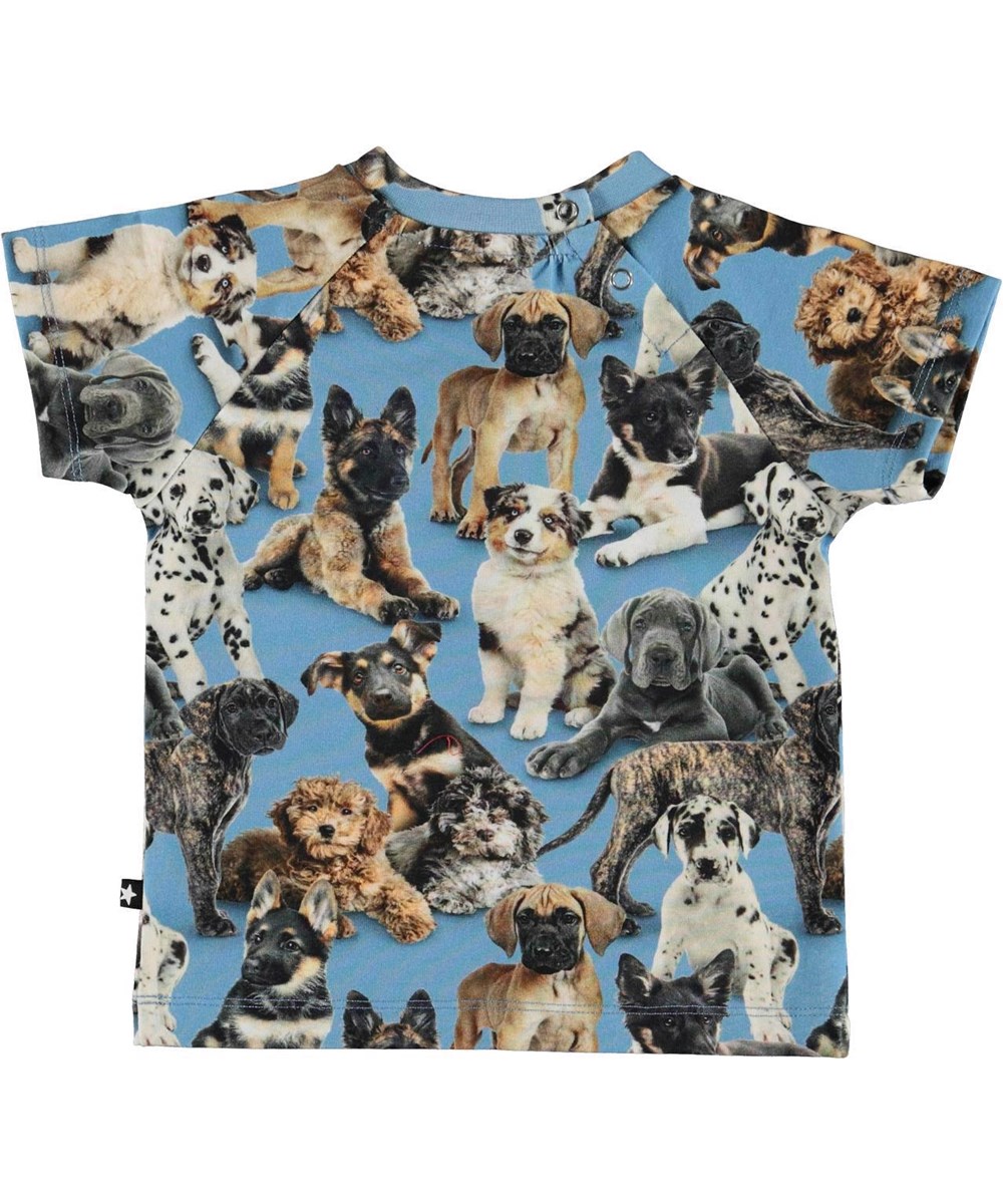 Emmett - Pups - Hellblaues Baby T-Shirt Welpen Öko