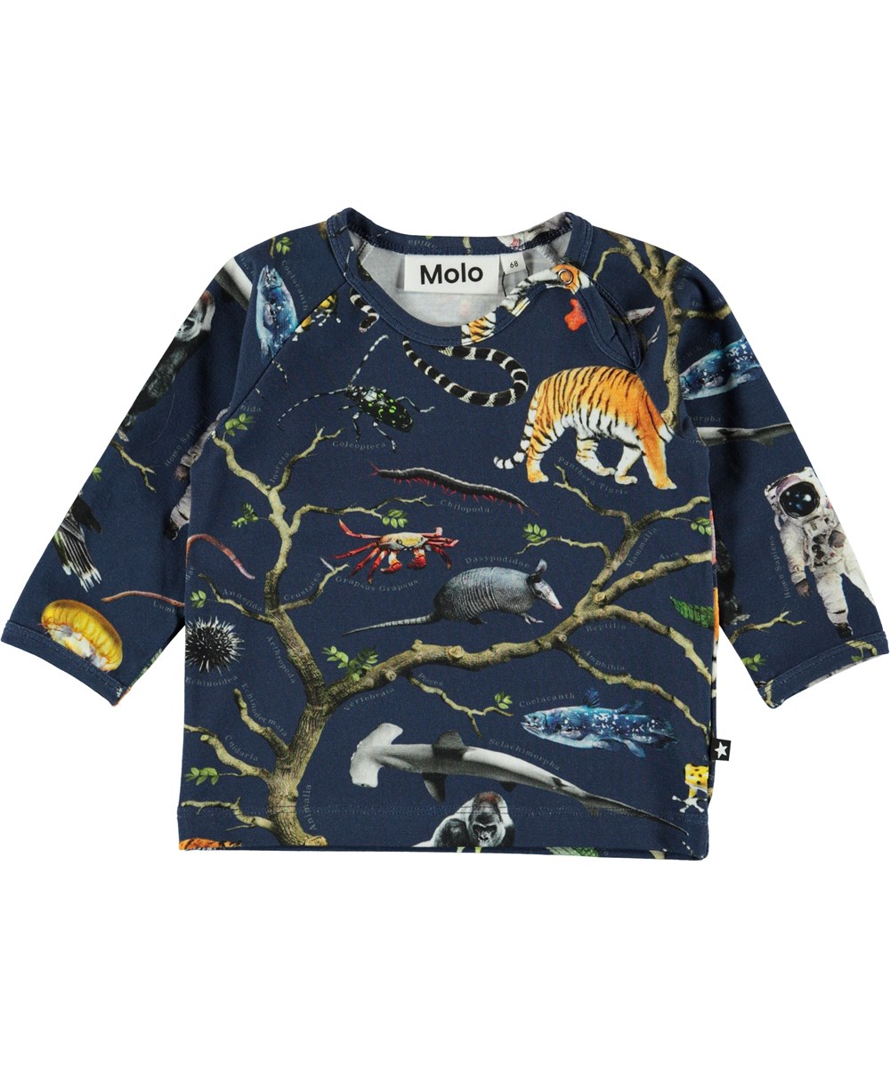 Ewald - Tree Of Life - Ökologisches Baby Sweatshirt mit Bäumen 
