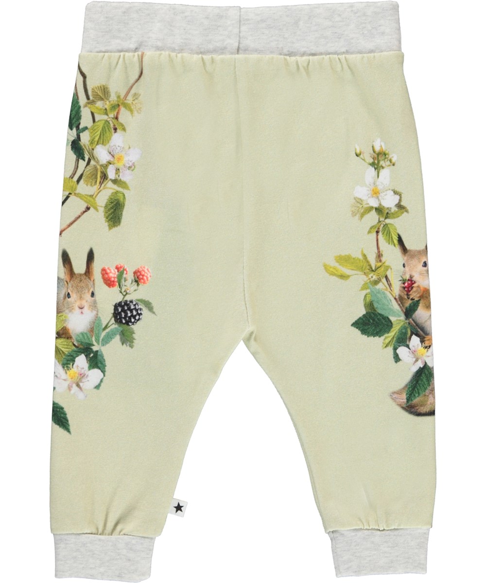 Susanne - Squirrel Business - Hellgrüne Öko-Babyhose mit Eichhörnchen